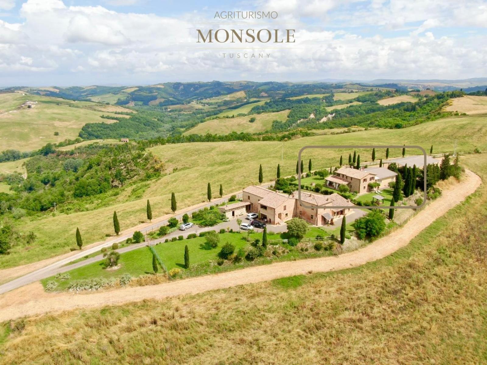 Agriturismo MONSOLE - Montalcino Exterior foto